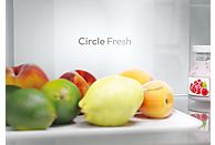 Frigorífico combi Candy Fresco 300 CNCQ2T618EW, 355 L, 185 cm, Total No Frost, Blanco