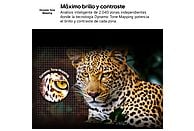 LG TV QNED MiniLED 50
