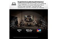 LG TV QNED MiniLED 50