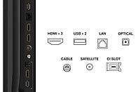 TV LED 43