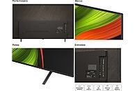 TV OLED 65