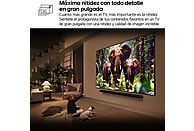 TV QNED MiniLED 65