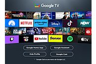 TV LED 55