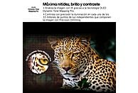 Televisor LG OLED48B56LA, 48 pulgadas, OLED 4K, Smart TV, Procesador α8 AI Gen2