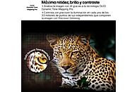 Televisor LG OLED48C55LA, 48 pulgadas, OLED evo 4K, Smart TV, Procesador α9 AI Gen8