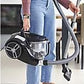 Aspirador Trineo sin Bolsa Rowenta Compact Power XXL (RO4B25), 2.5 L, Negro