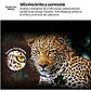 LG TV QNED MiniLED 50" 50QNED87A6D, UHD 4K, α7 AI Processor 4K Gen8