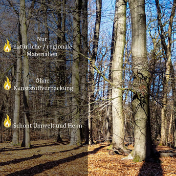 Leña de Haya FLAMEUP Selección | 30 kg, Secada al Horno (Humedad < 18%)