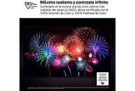 Televisor LG OLED55B56LA de 55 pulgadas 4K con Smart TV