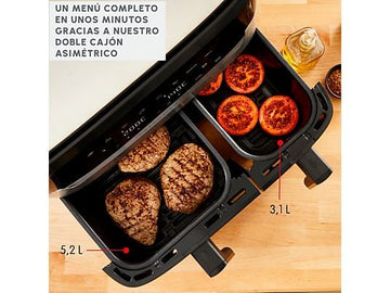Freidora de aire y grill Moulinex Dual Easy Fry & Grill EZ905D, 8.3 L, Inox